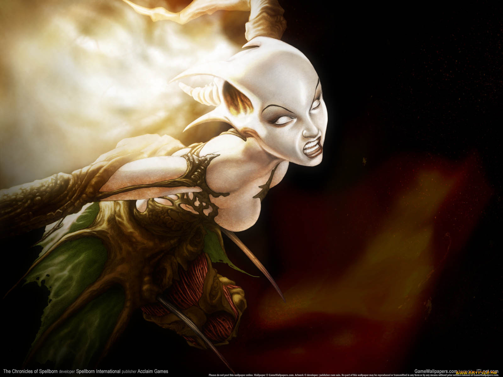 the, chronicles, of, spellborn, , 